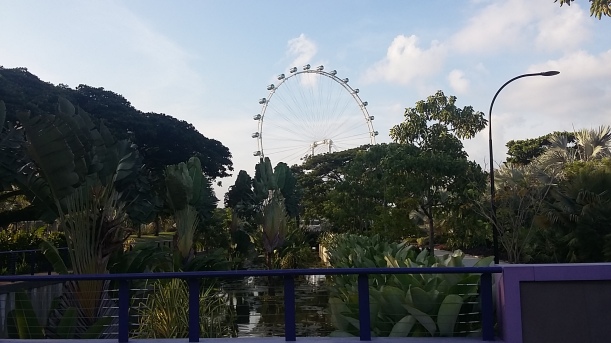 Gardens by the Bay - Singapore Flyer